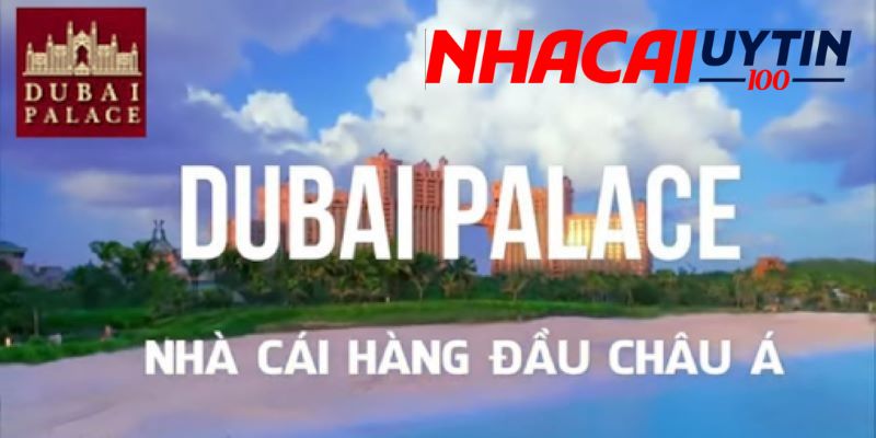 Review chất lượng dịch vụ của nhà cái